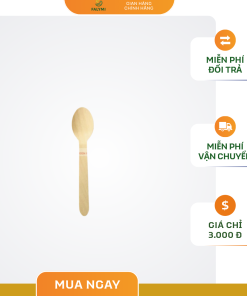 Thùng 100 cái muỗng gỗ