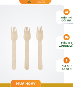 Thùng 100 cái thìa gỗ